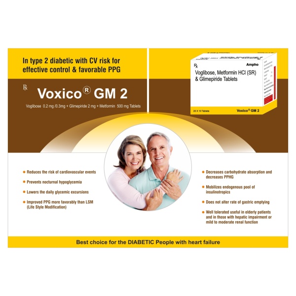 VOXICO-GM 2